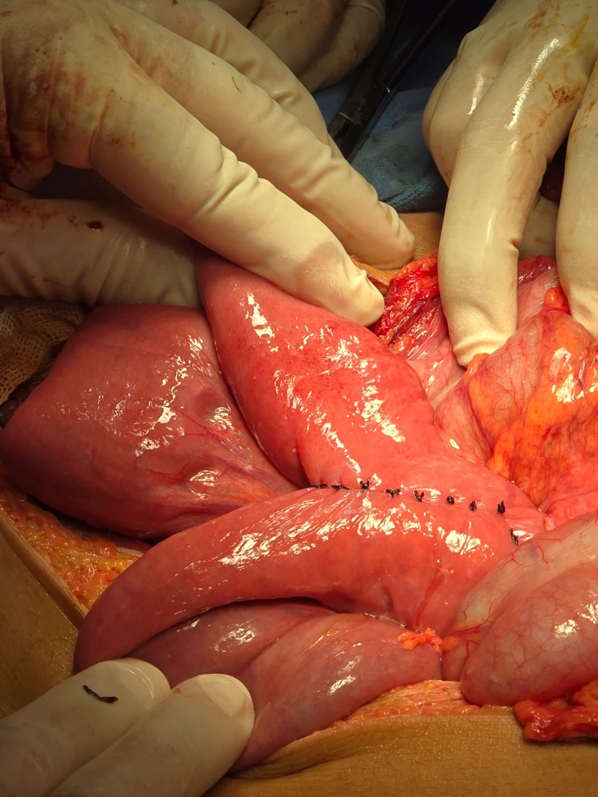 Jorge Rodríguez Navarro-5