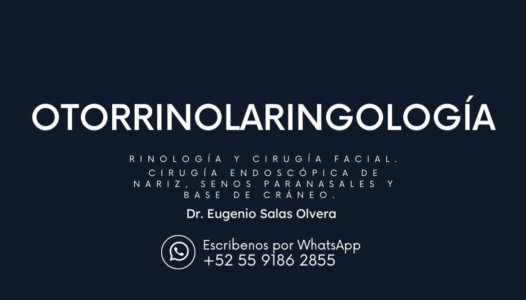 Eugenio Salas Olvera-0