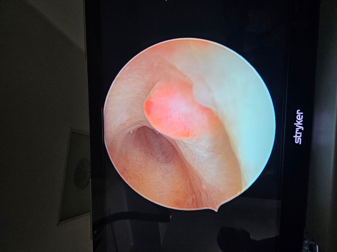 Martha Helena Cabezas Pérez-4