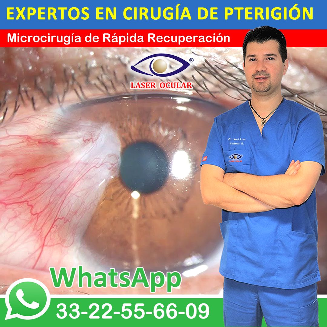 José Luis Salinas Gallegos-10