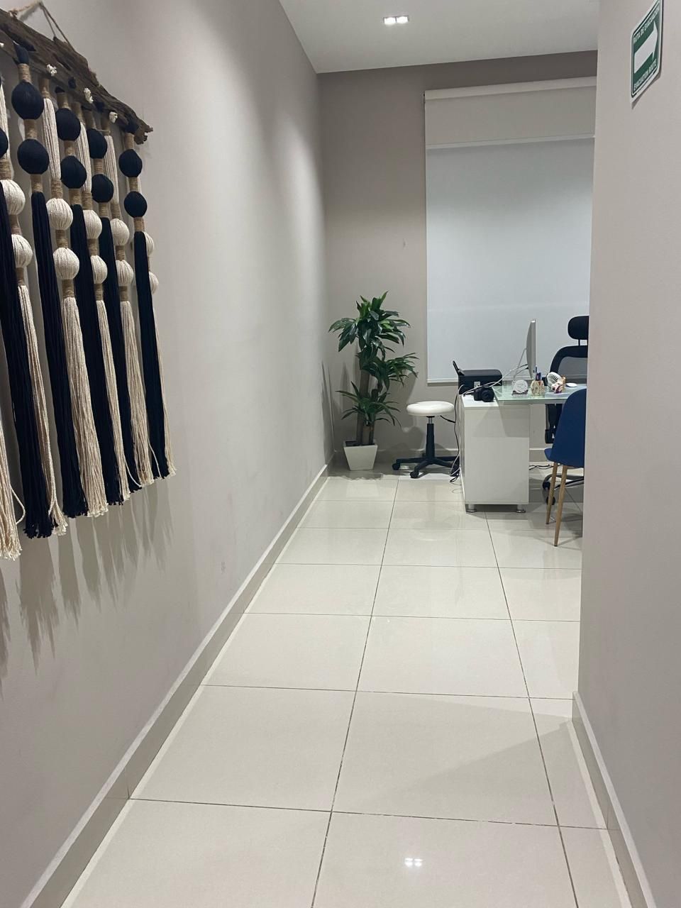 María Fernanda Medrano Madrazo-2