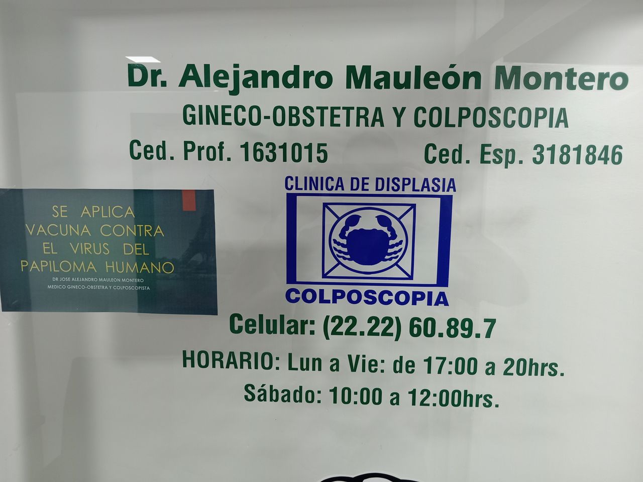 Alejandro Mauleón Montero-2