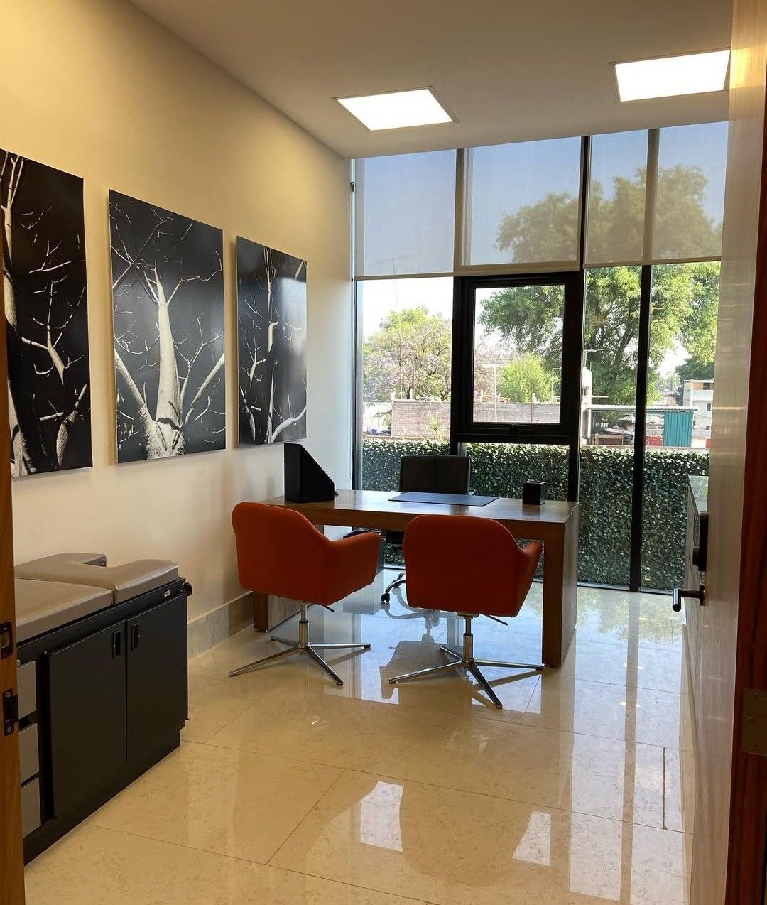 David Adrián Ramos Coria-4