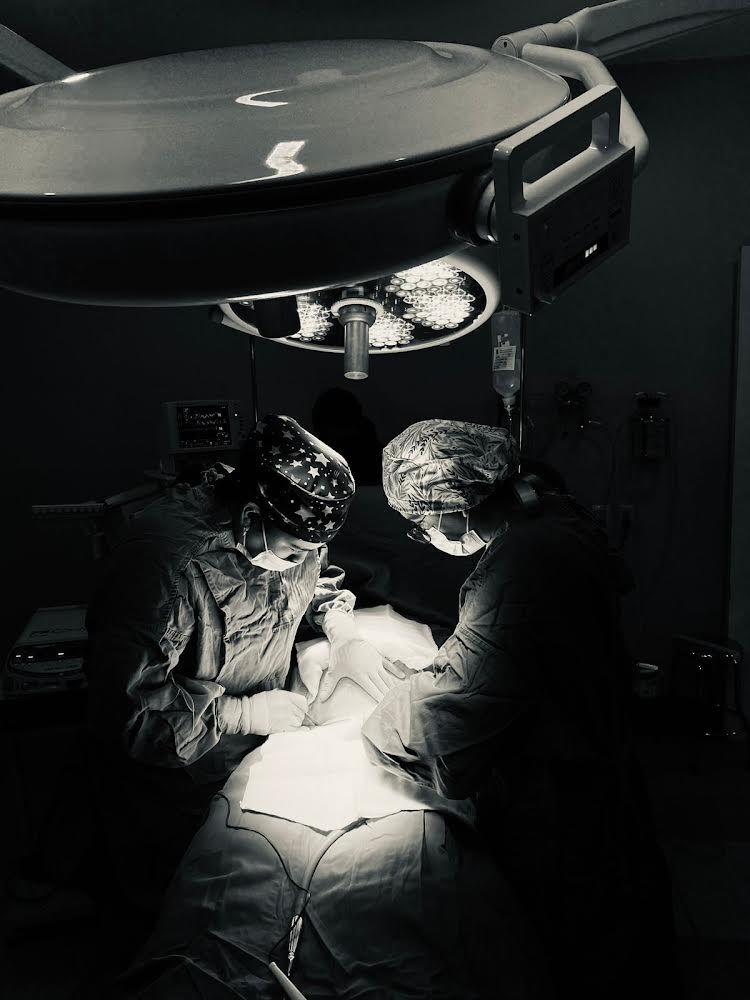 Sahira Toledo Aviles-10