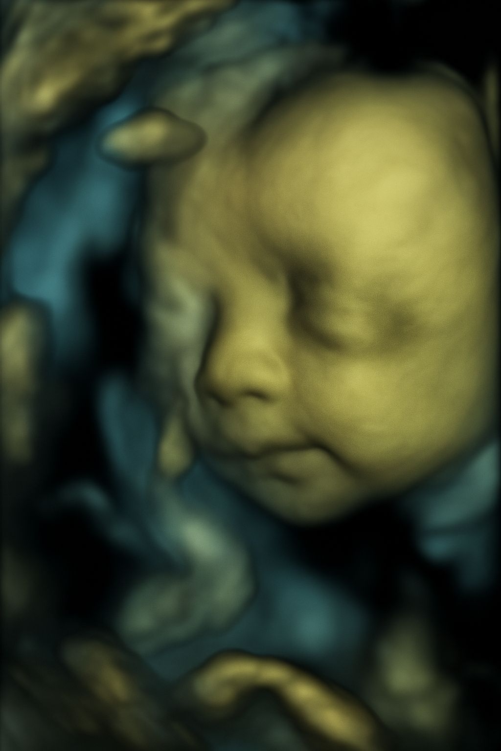 Adrian Estrada Campos-23