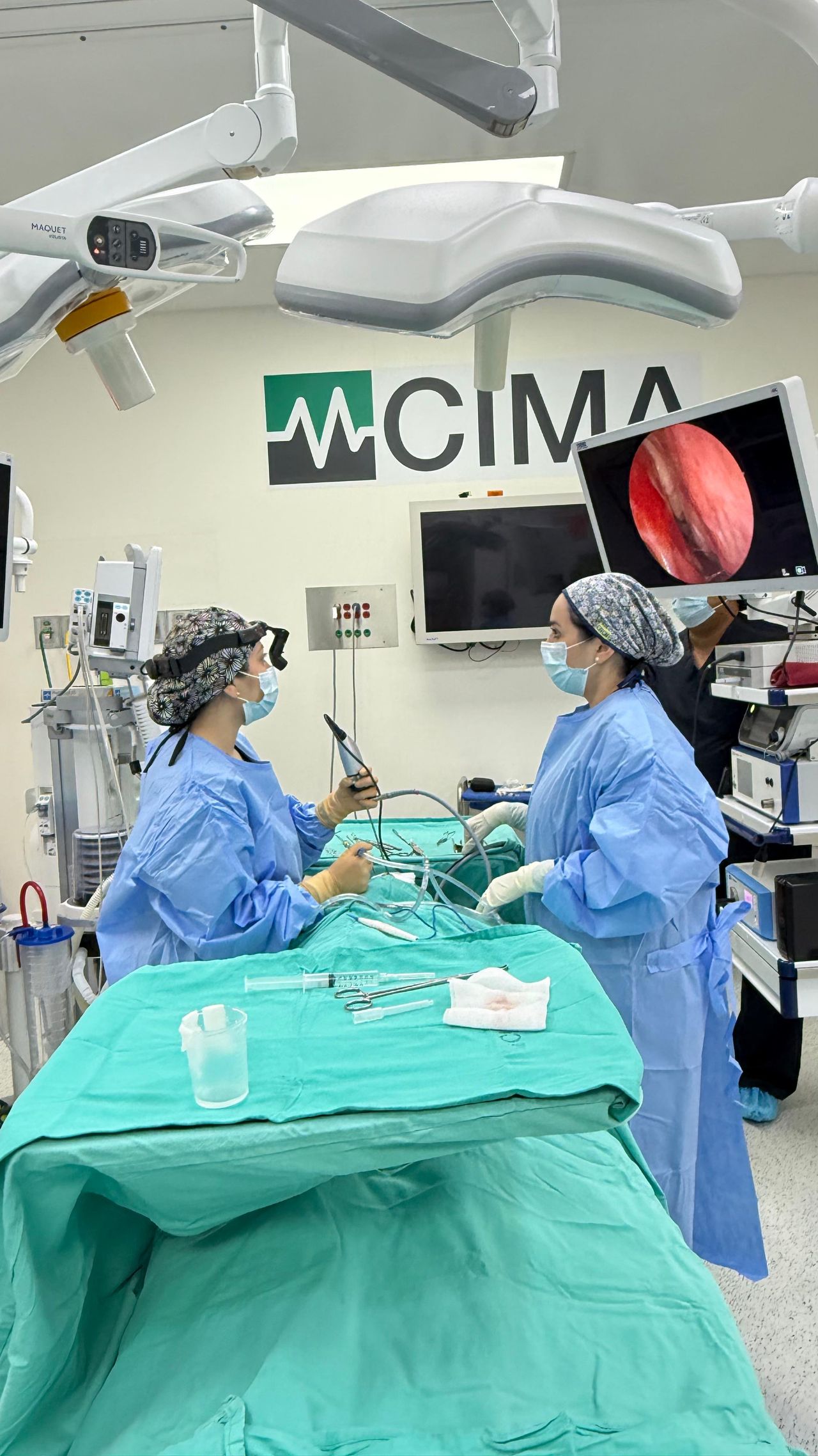 Ana Paulina Ferrales Salcido-2