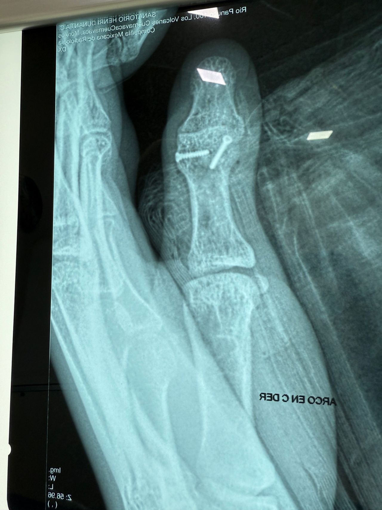 José Miguel Montiel Rojas-3