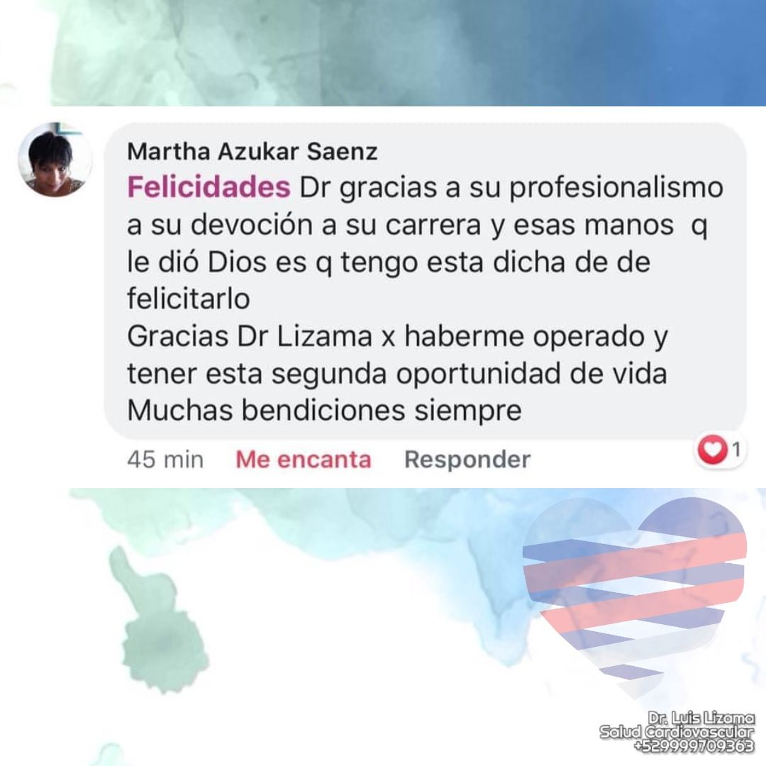 Luis Daniel Lizama Rodrí­guez-6