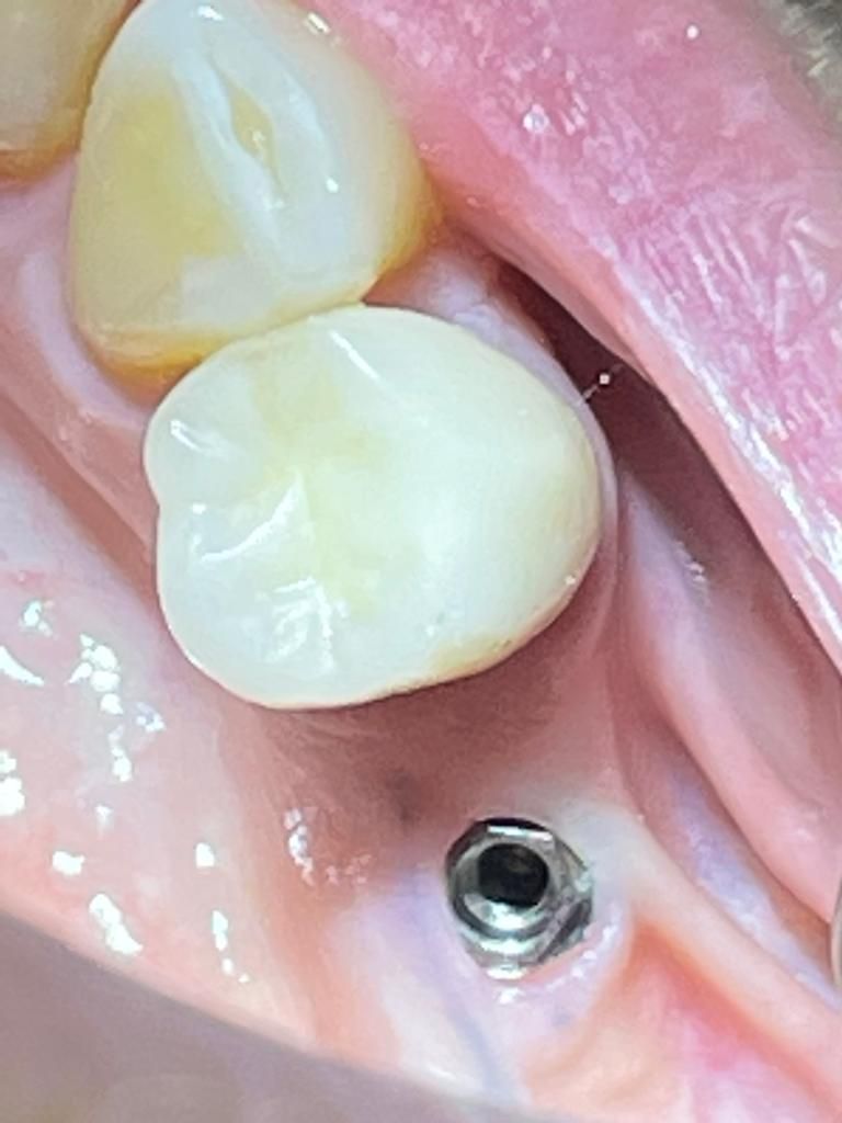 Martha Grissel Alcantar Camacho-24