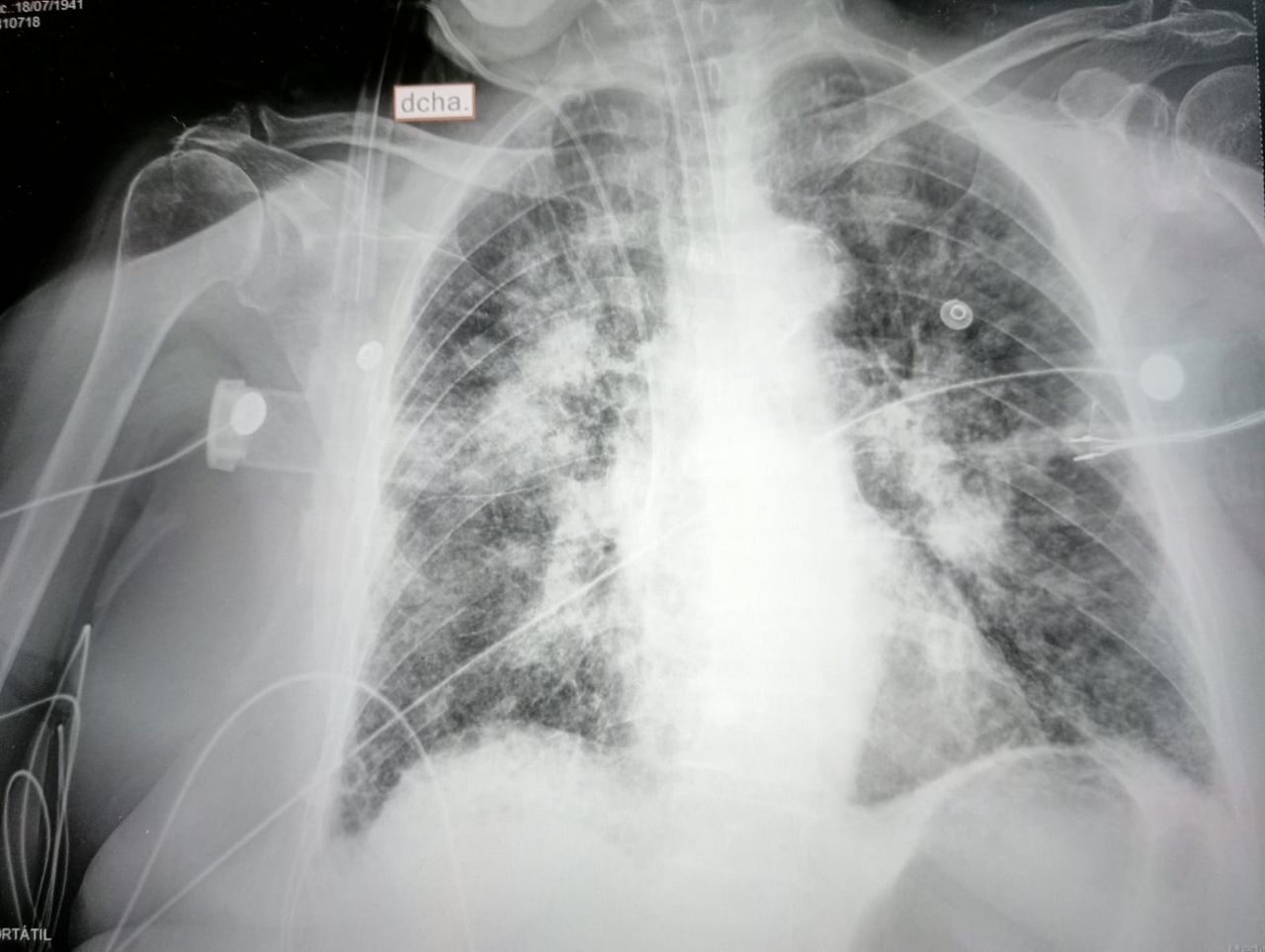 Dalia Ortiz Anguiano-3