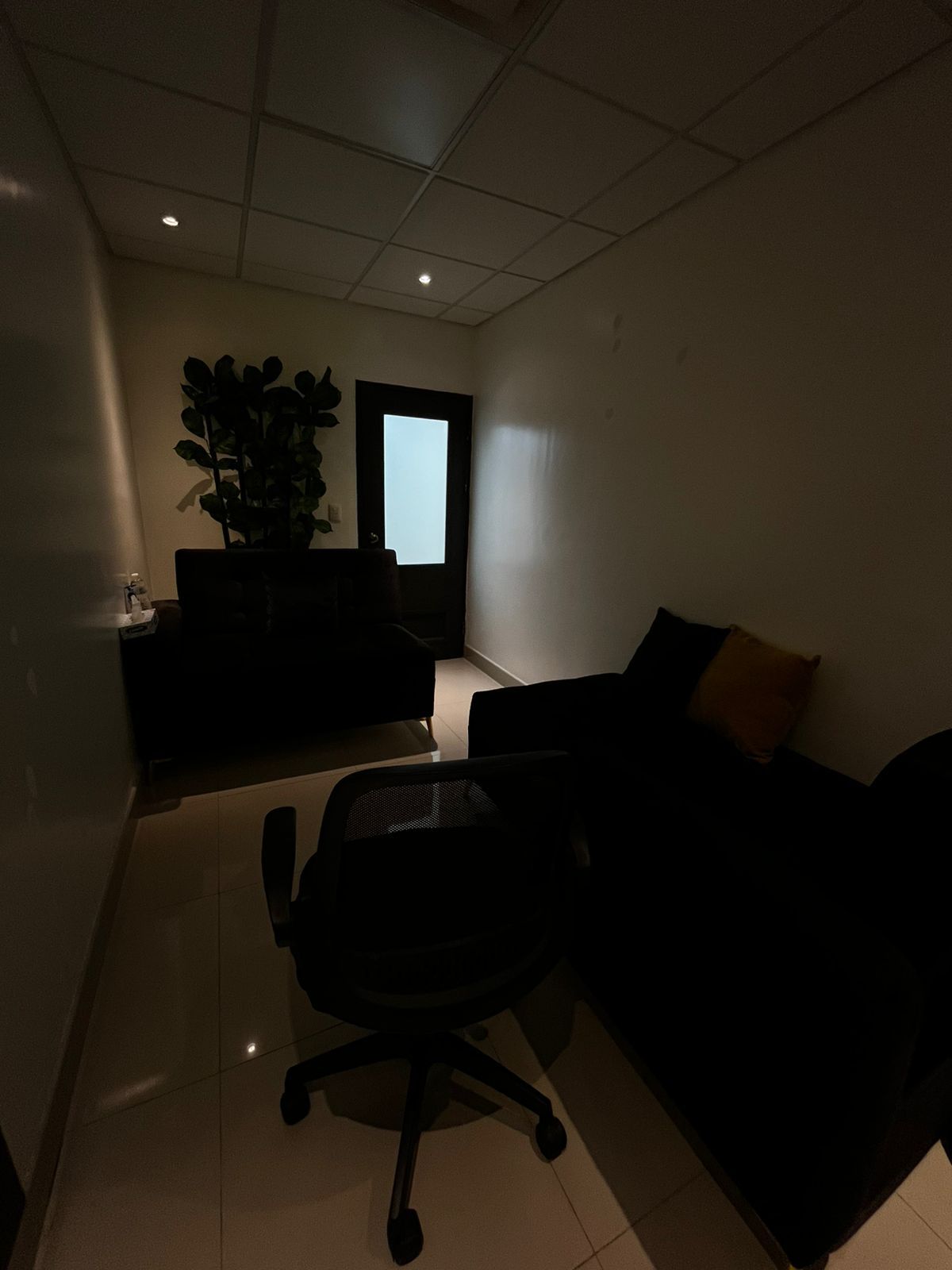 Alejandra Pastrana-2