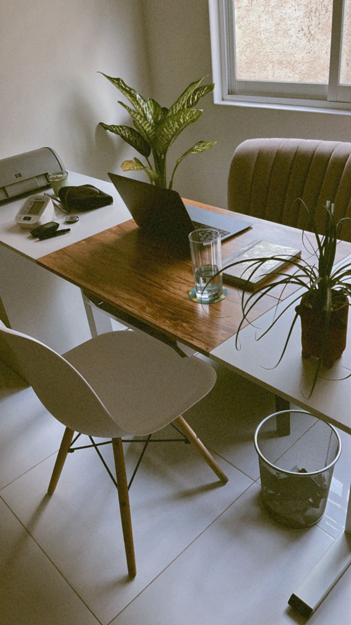 Rebeca Fierros Santana -10