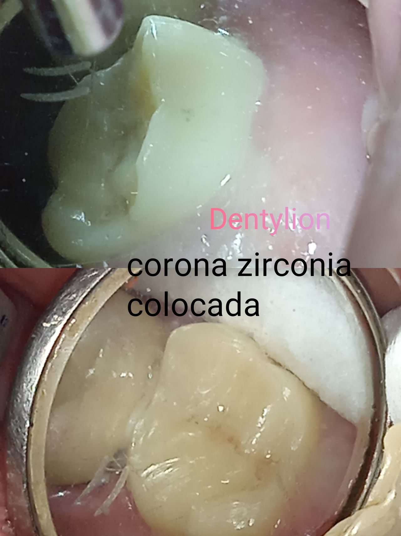 Jessica De La Barrera Valladolid-18