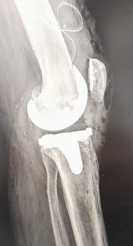 Guillermo Galaz  Portillo-8