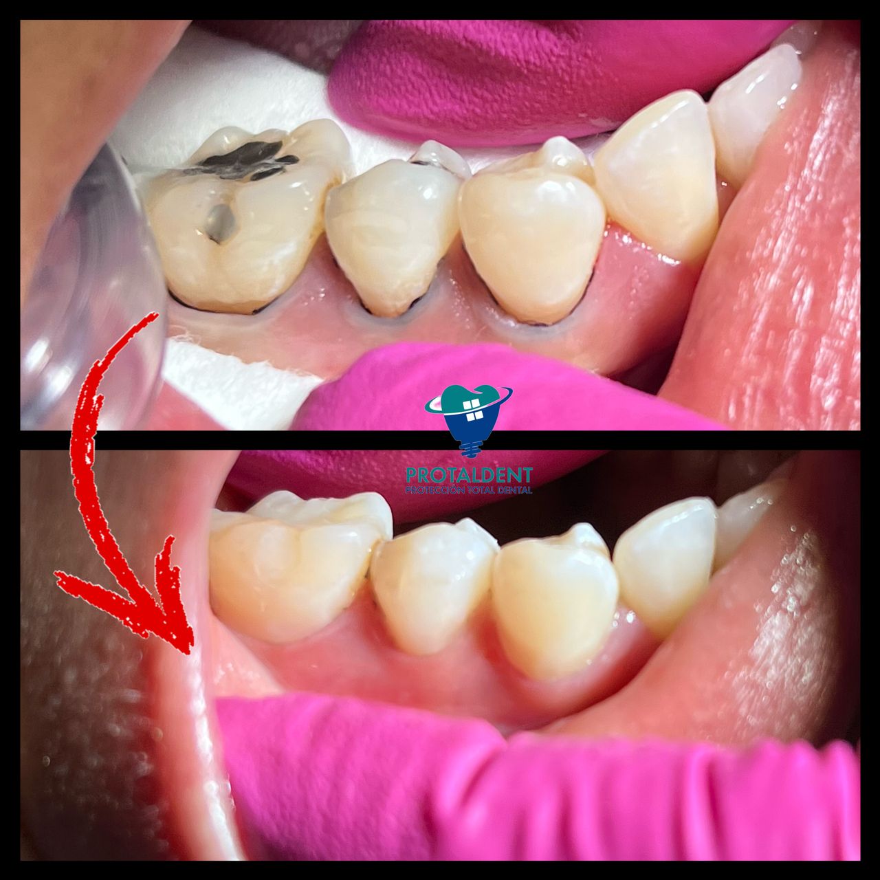 Sofia Faride Padilla Baruqui-16