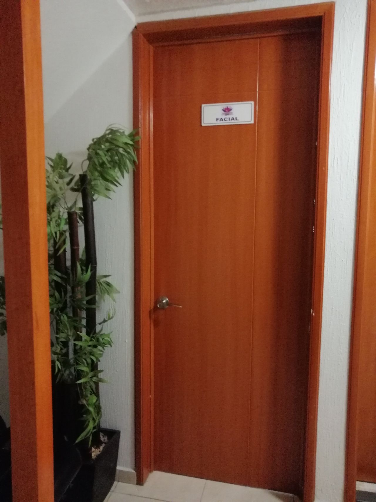 Irma Robles Sánchez-24