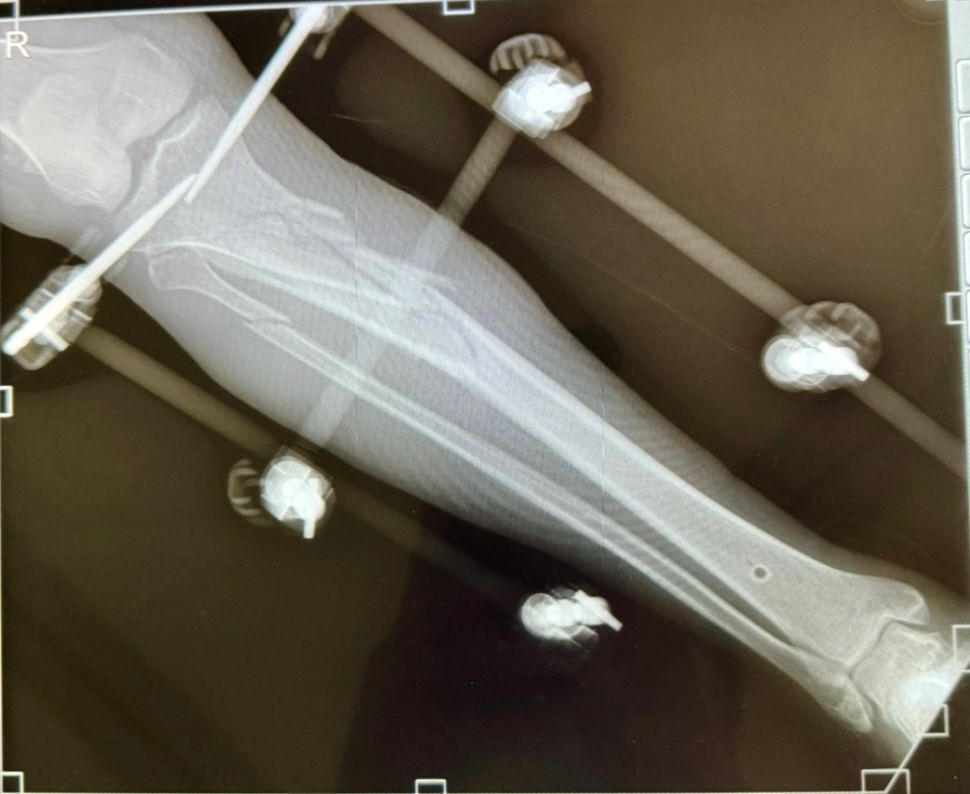 Gisela Cleto Zepeda-166