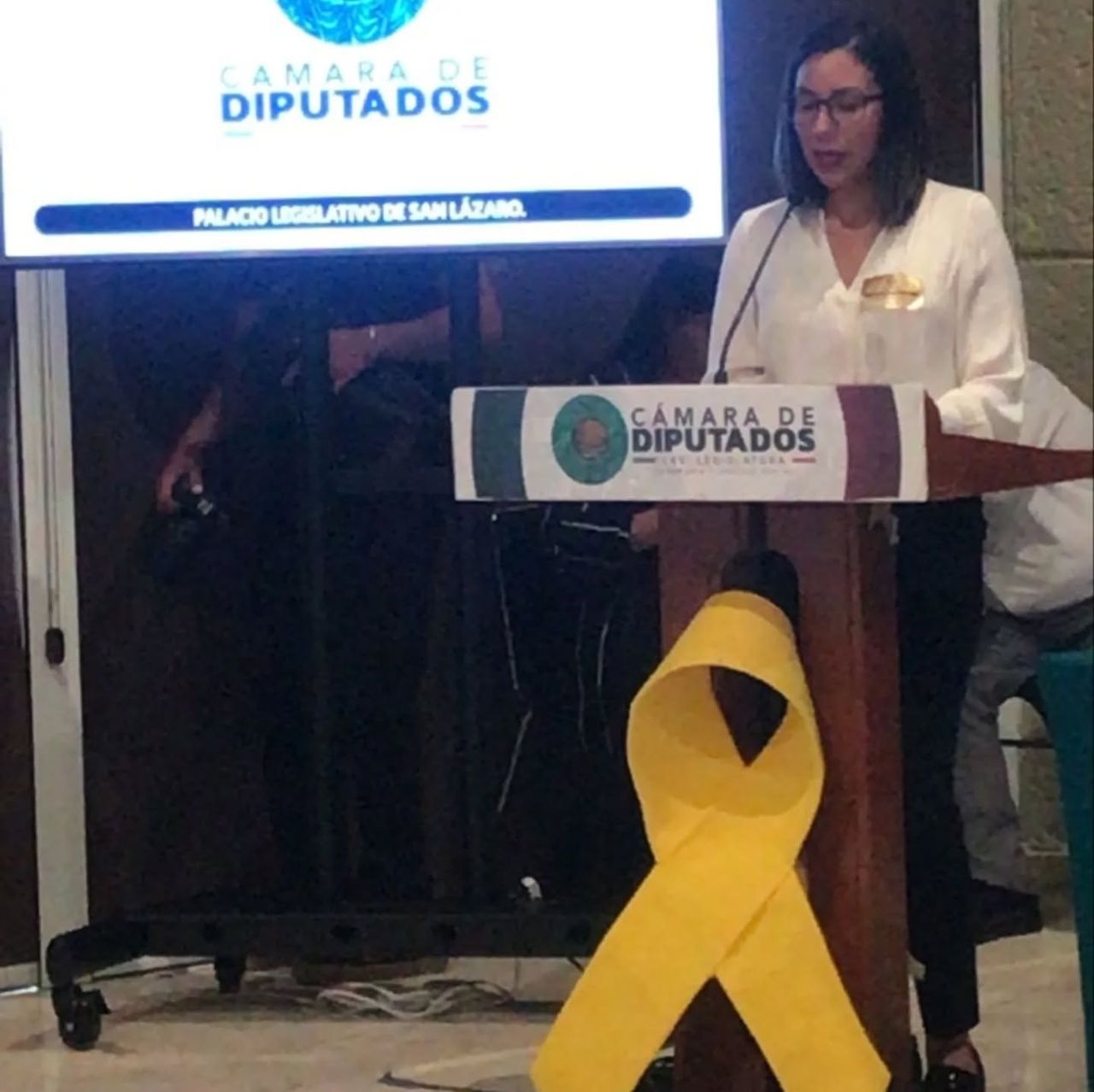 Paulina Alejandra Vázquez García-4