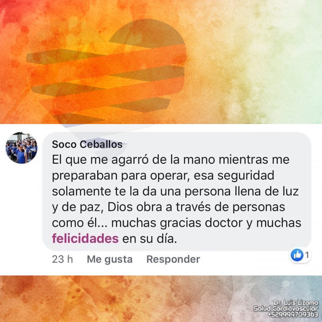 Luis Daniel Lizama Rodrí­guez-35