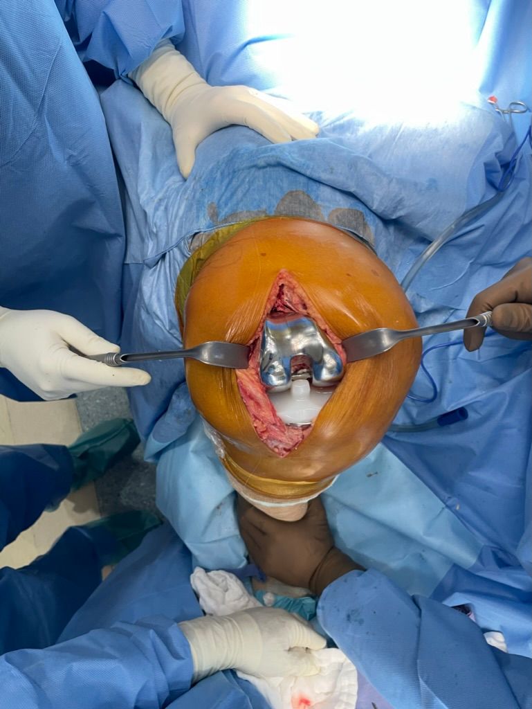 Jose De Jesus Perez Cisneros-6