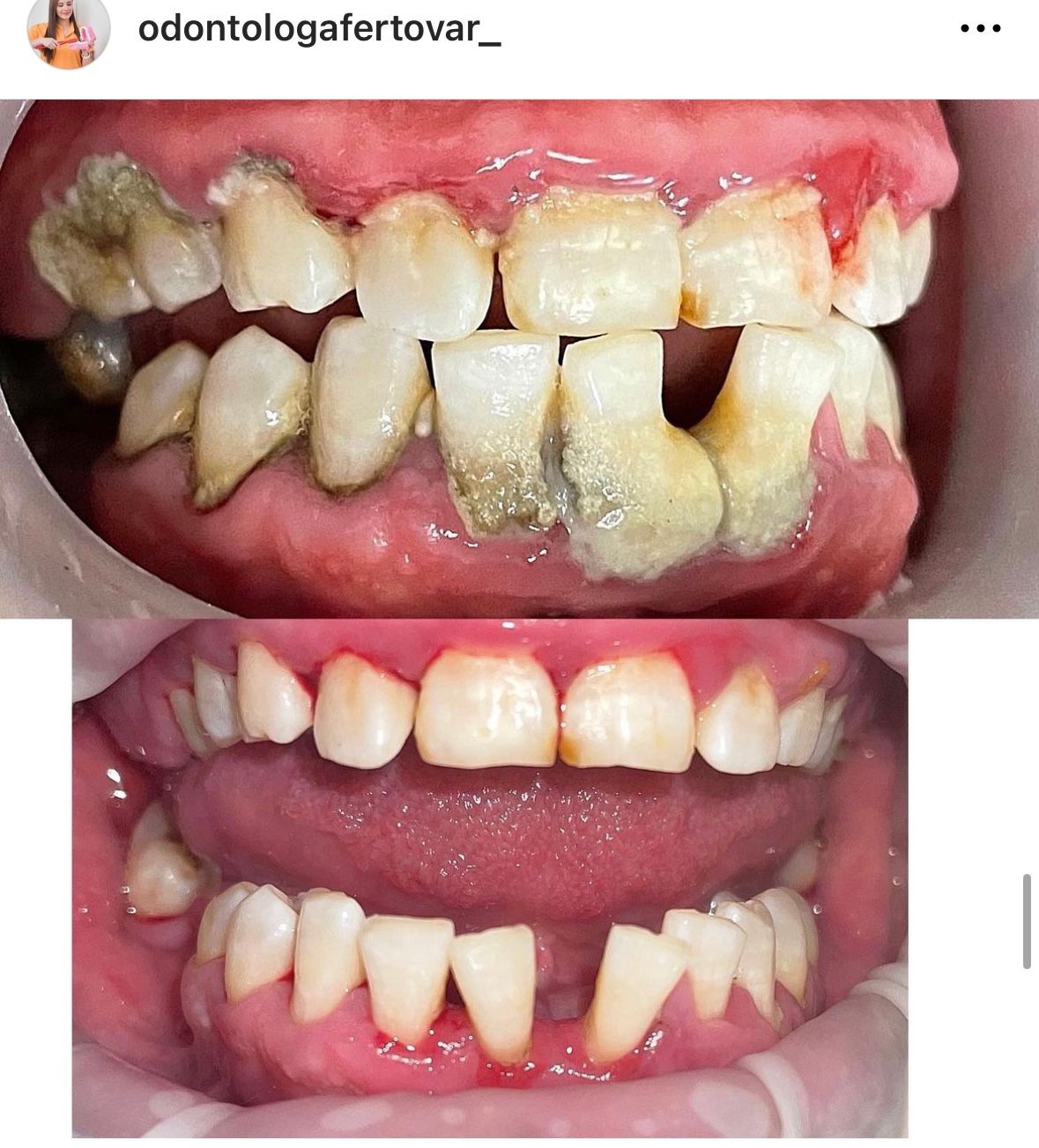 Fernanda Tovar Navarro-21