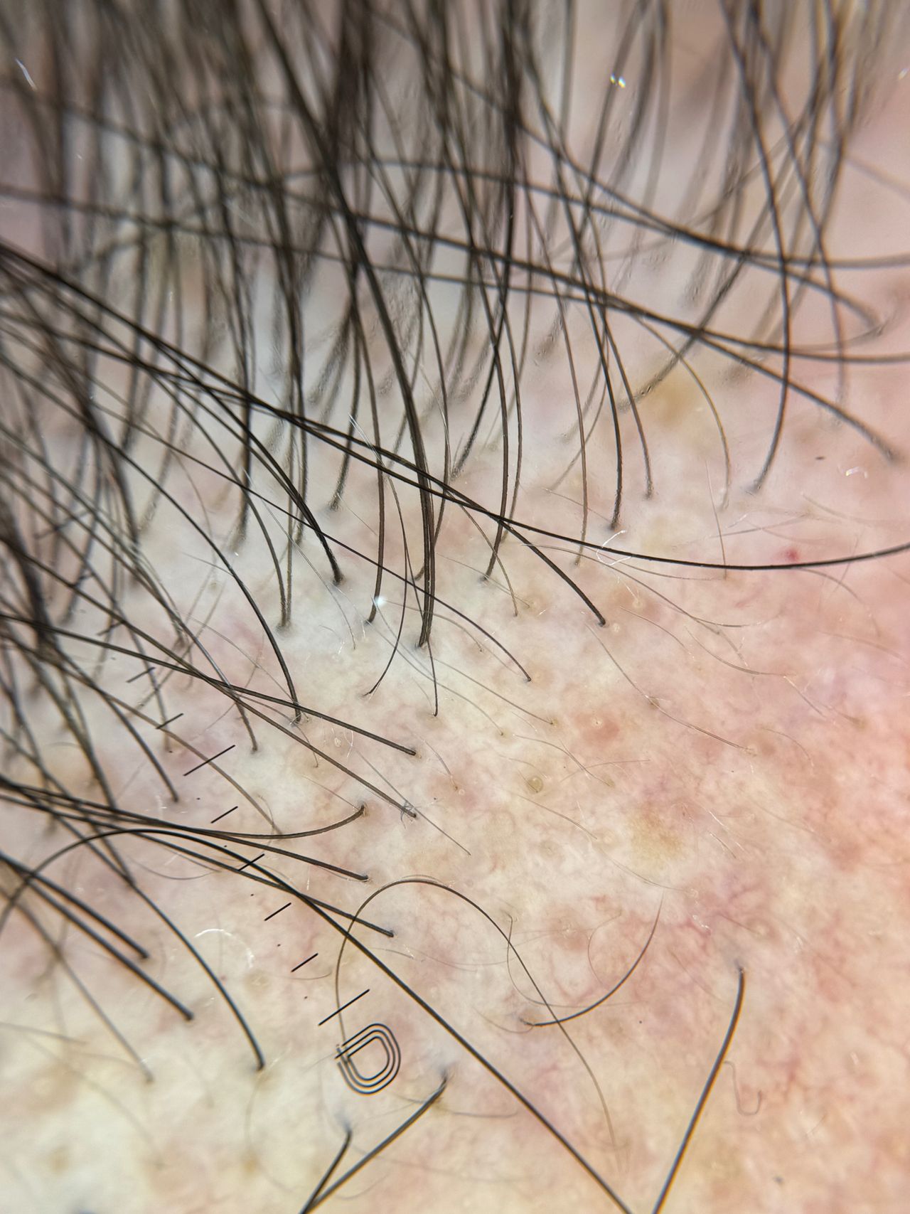 Sebastian Rodriguez-2