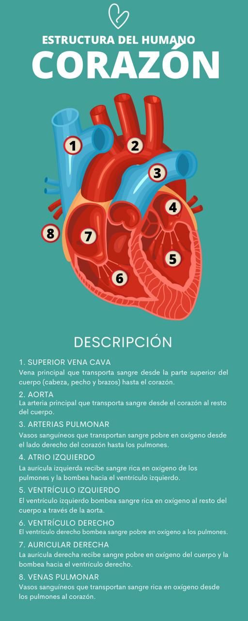 Gerardo Reyes Velázquez-4