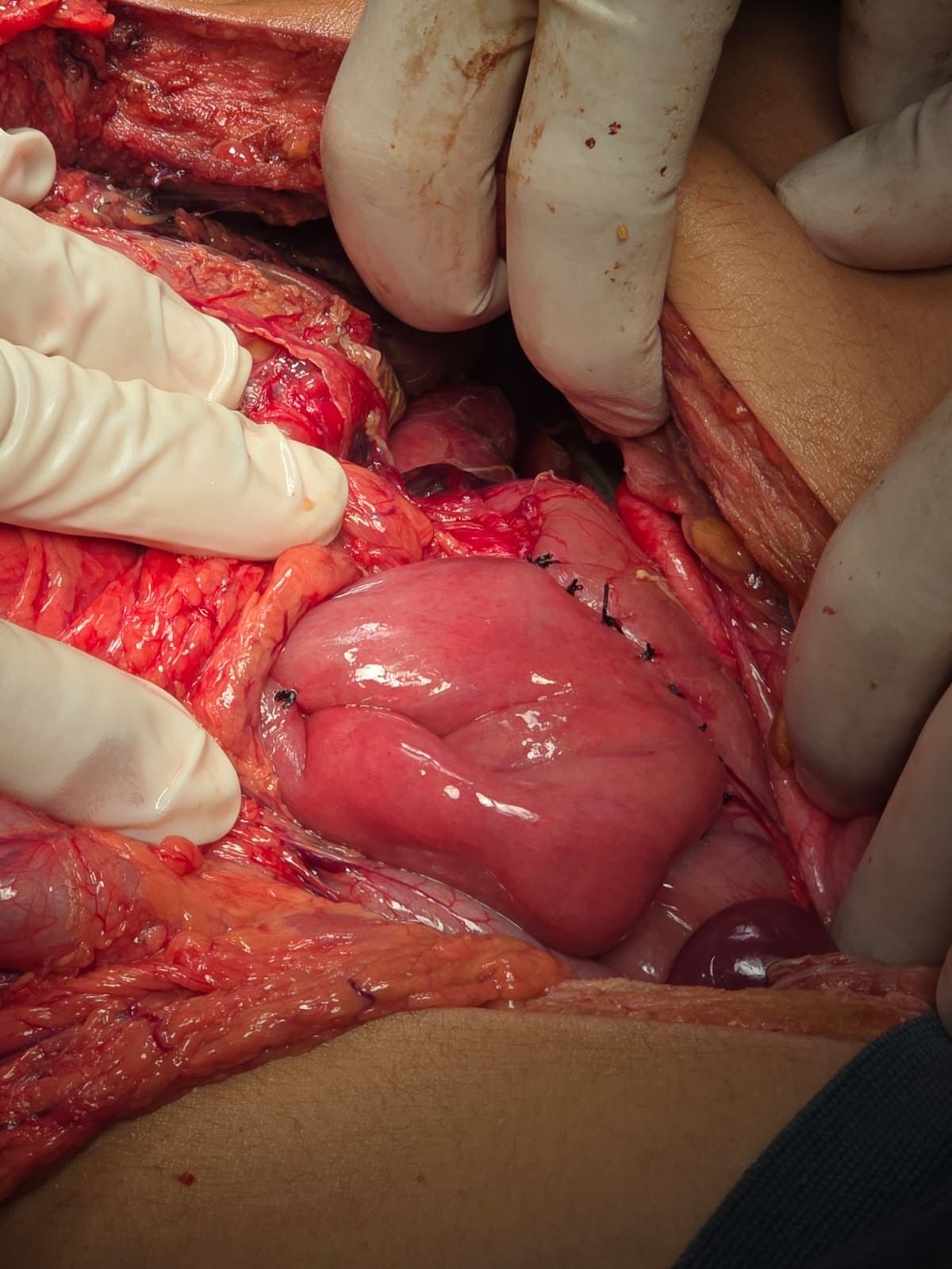 Jorge Rodríguez Navarro-9