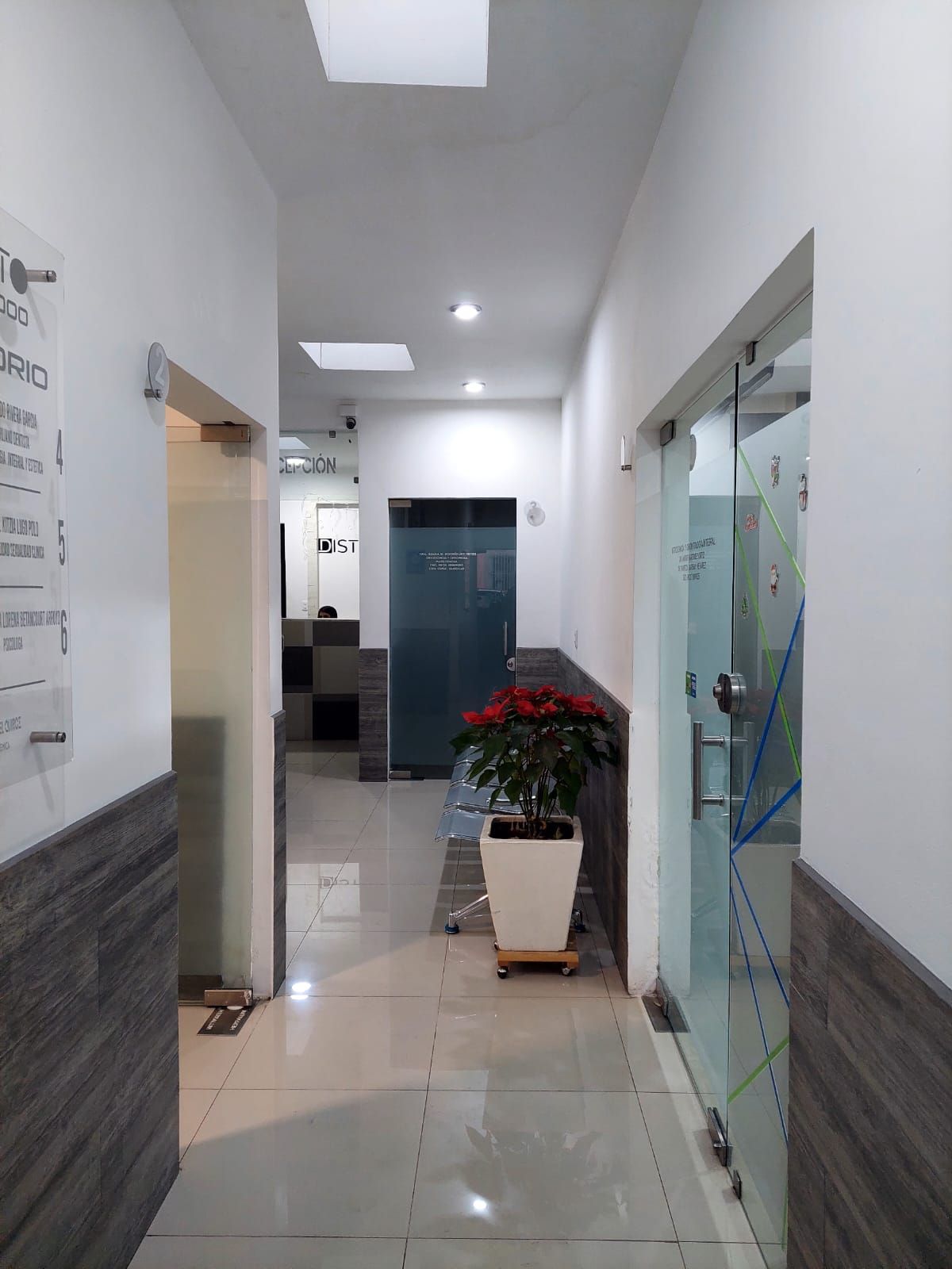 Ana Cristina Limones Franco-1