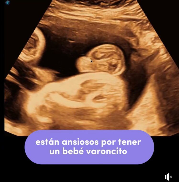 Guadalupe Muñoz Castro-13