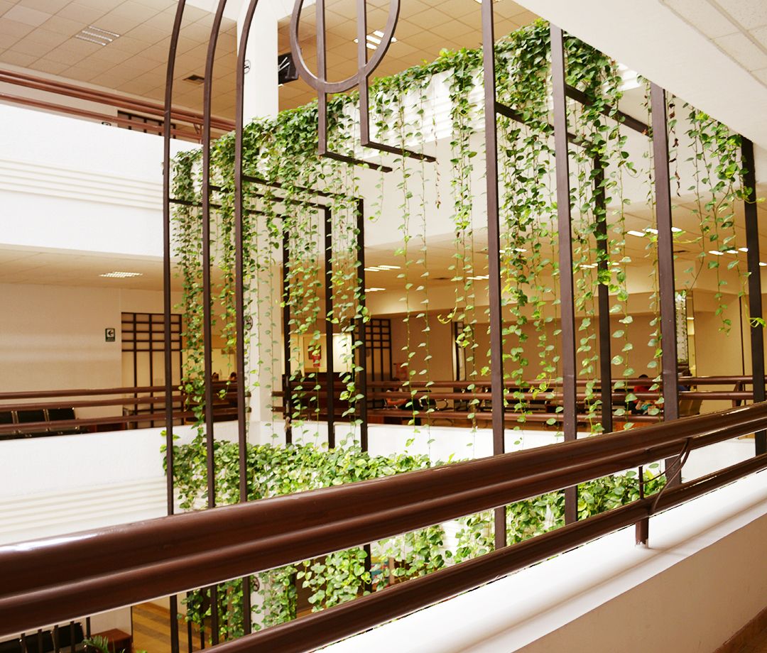 Juan Carlos Escobedo Sanchez-6