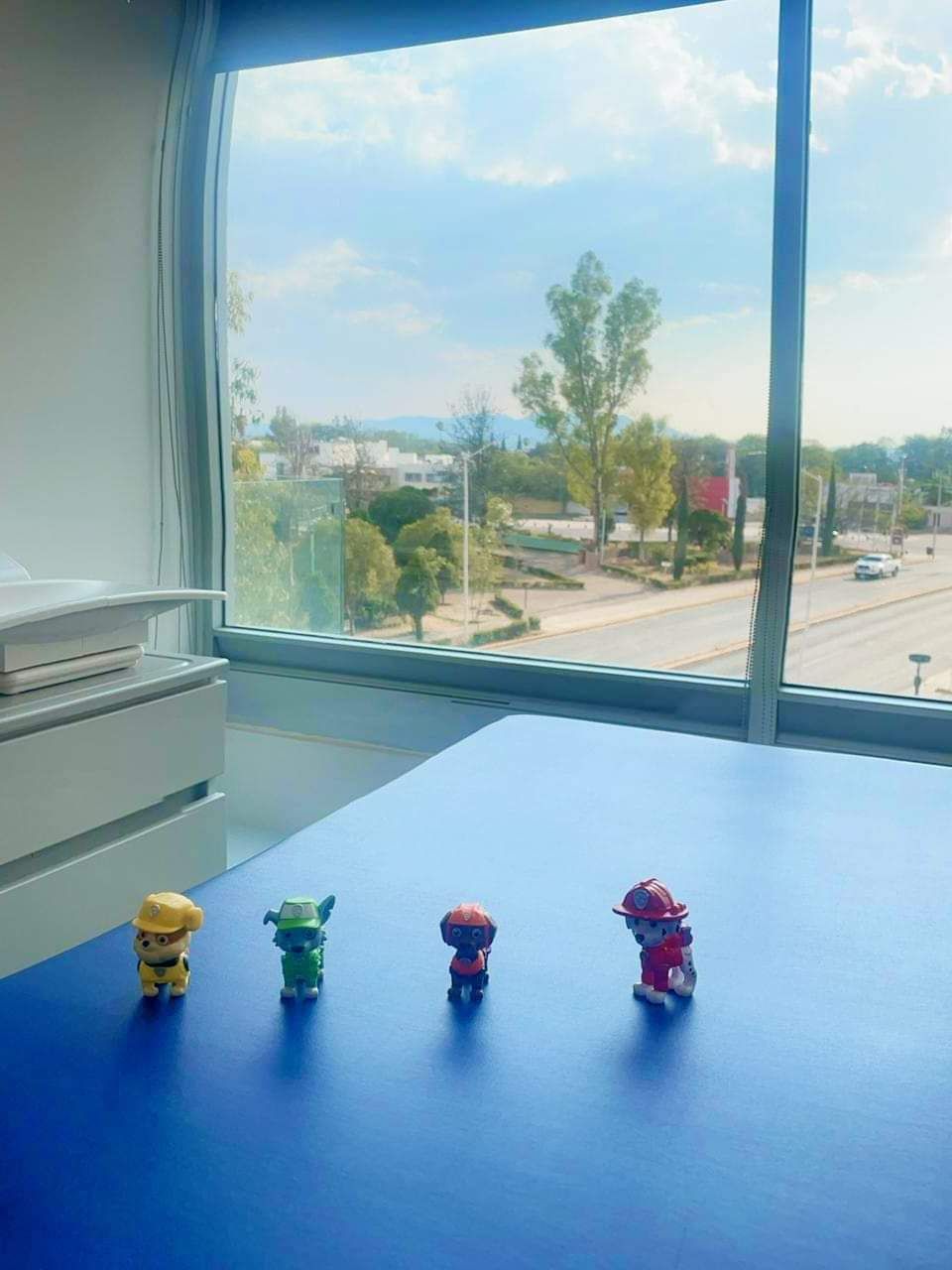 Erik Antonio Mier Escurra-5