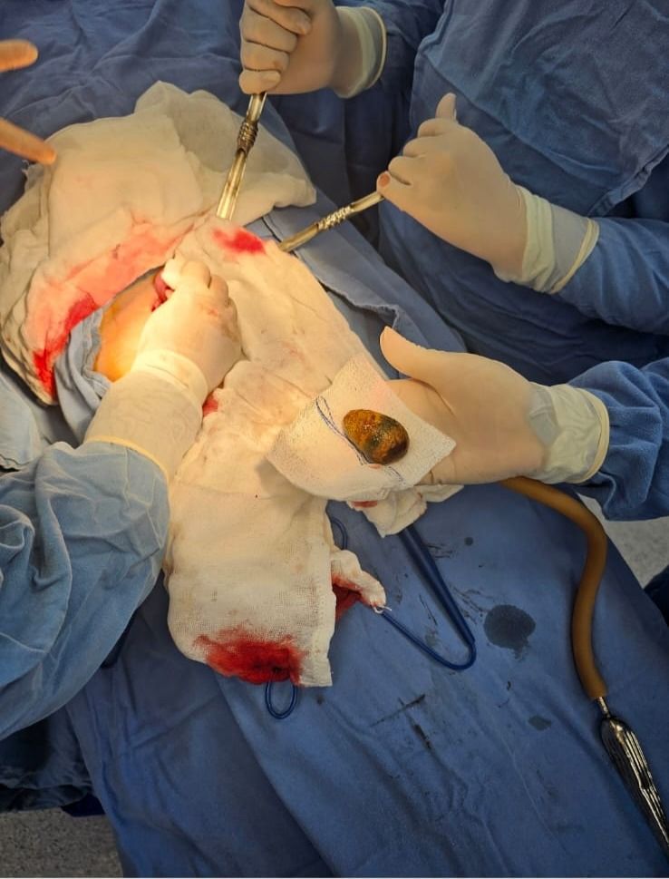 Alma Teresa Sánchez Hernández-1