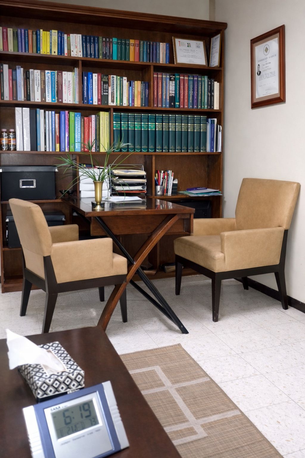 Ileana Cedillo Zúñiga-1