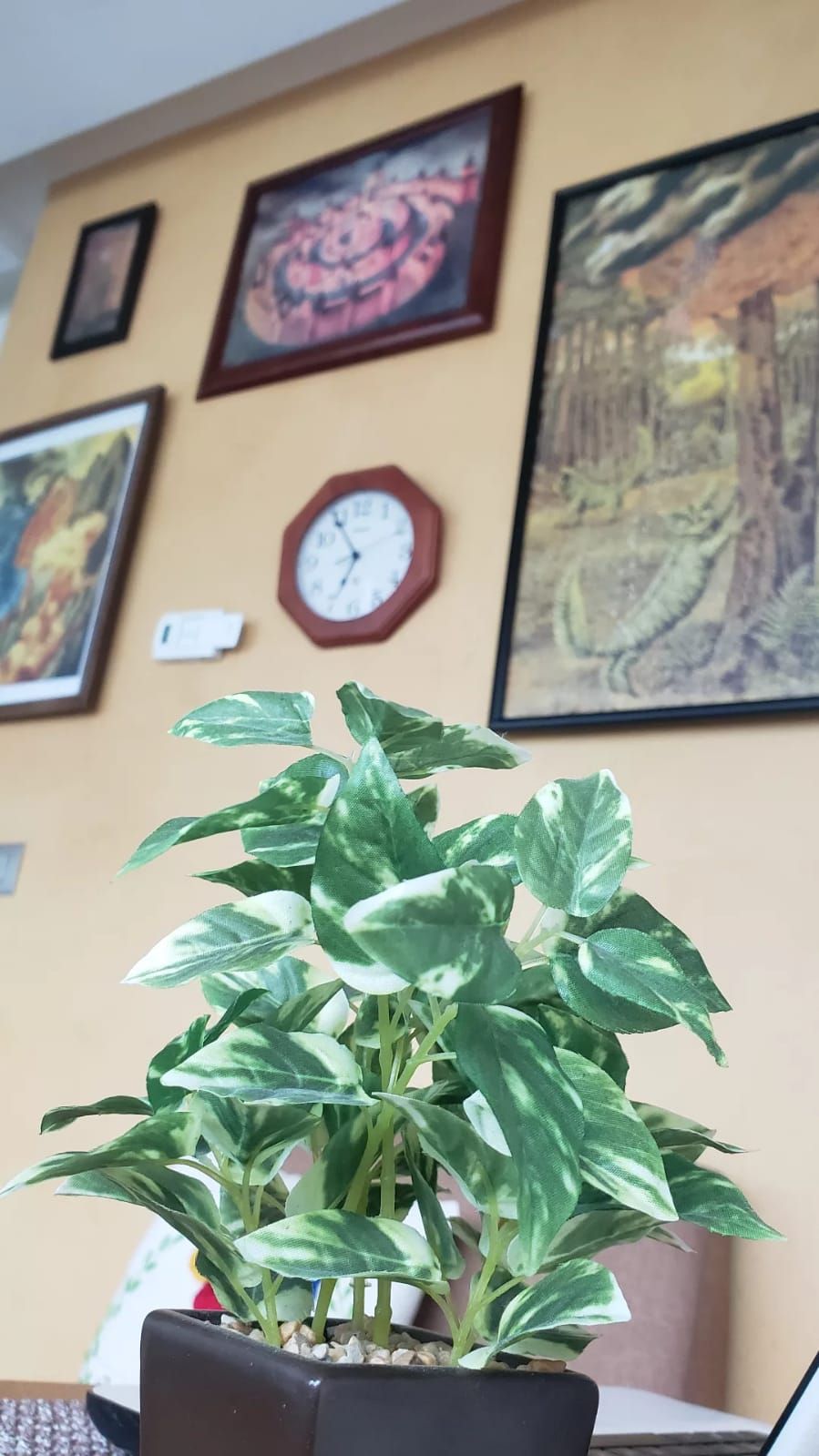 Mónica Espinal Vázquez-3