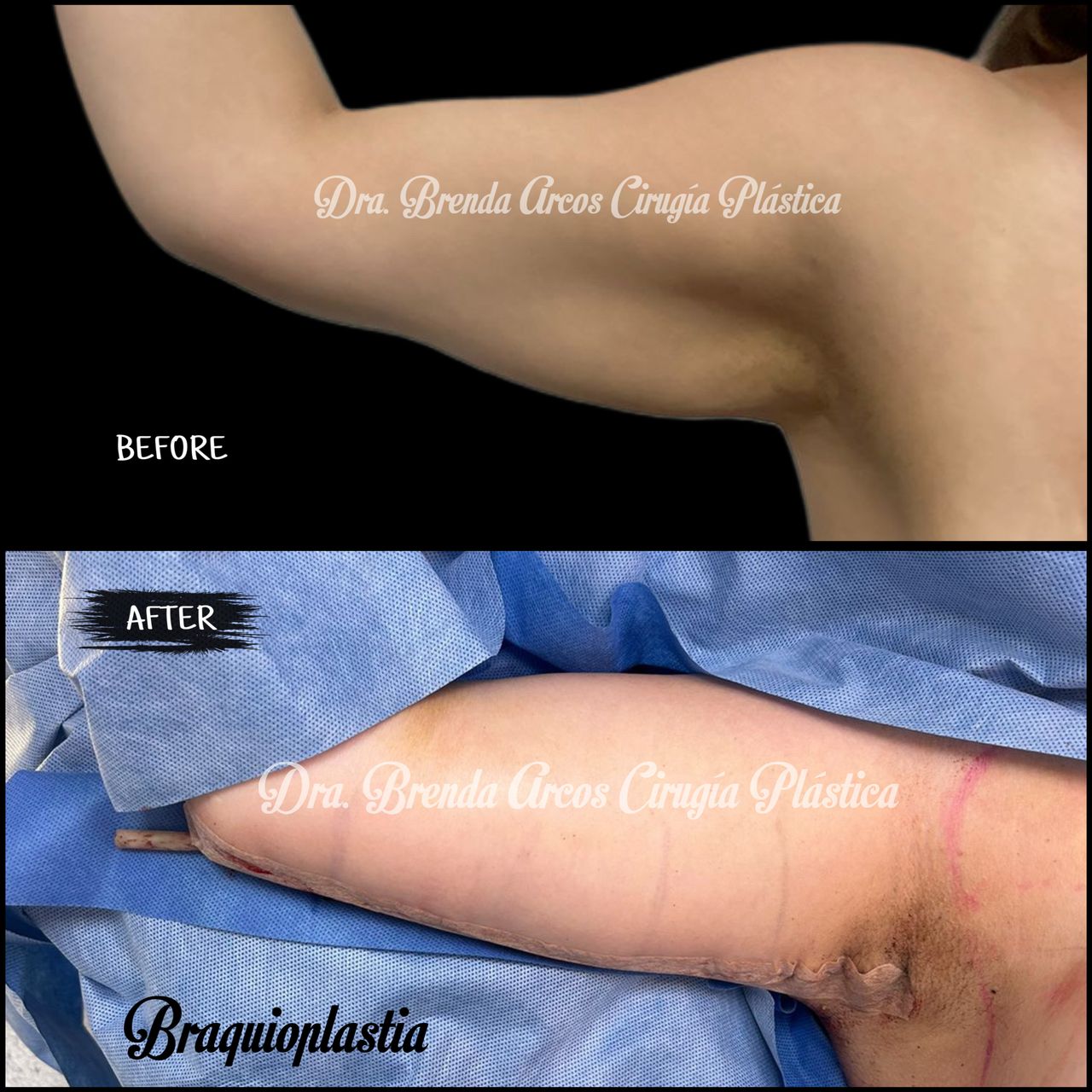 Brenda Arcos Vera-40