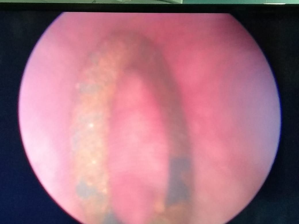 Gerardo Rodrigo Lemus Mena-9