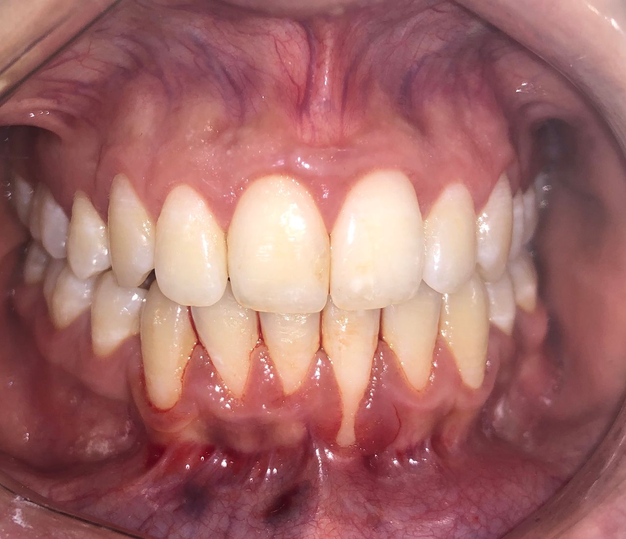 Adriana Lizeth Villarroel Guizar-8