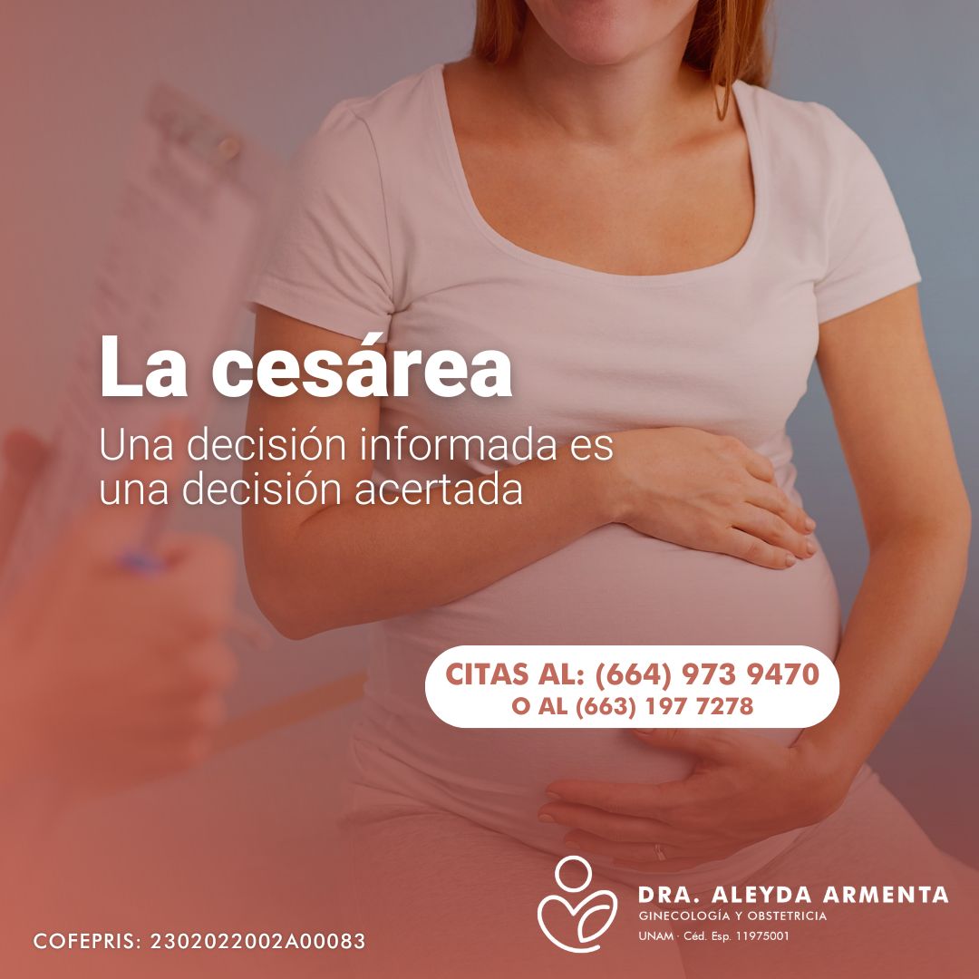 Aleyda Fernanda Armenta Rios-9