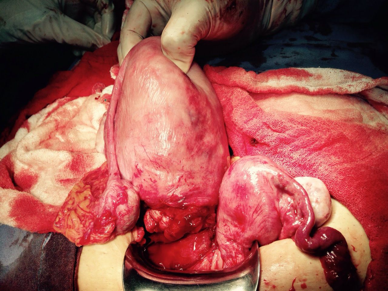 Marisol I. Alvarez Carrasco-22