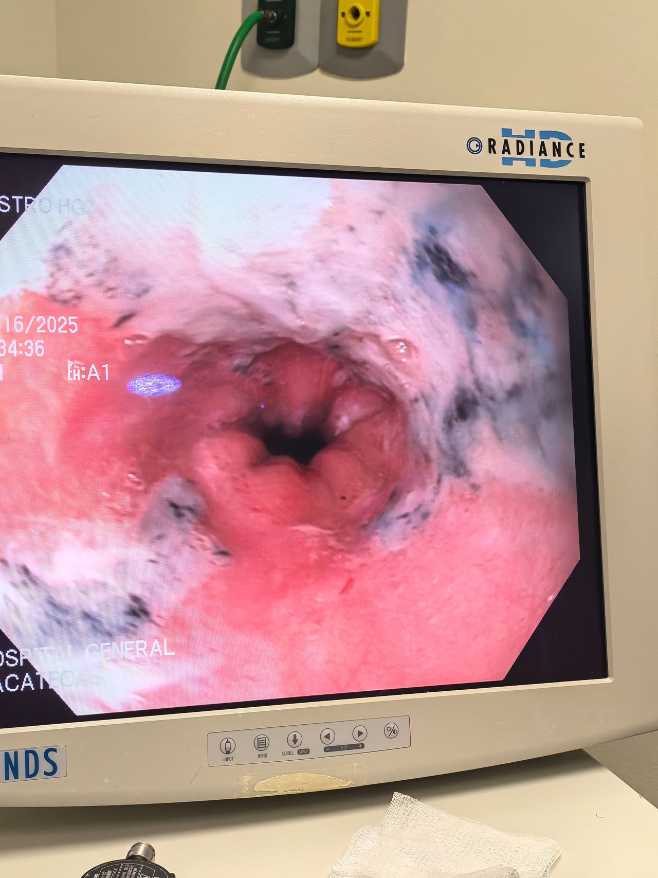 Luis Octavio Flores Romo-9