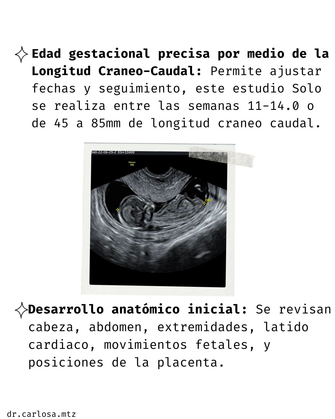 Carlos Arturo Martínez Méndez-15