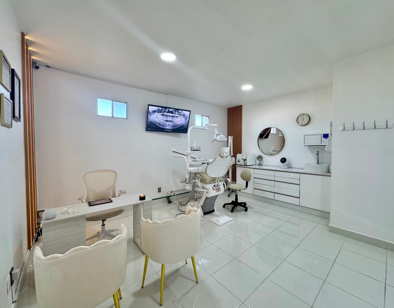 María Fernanda Ibarra Velázquez-4