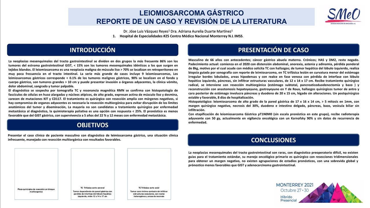 José Luis Vázquez Reyes-9