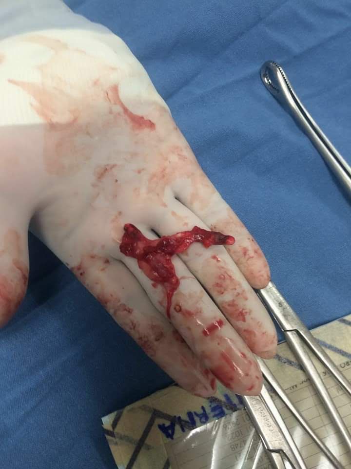 Marisol I. Alvarez Carrasco-25