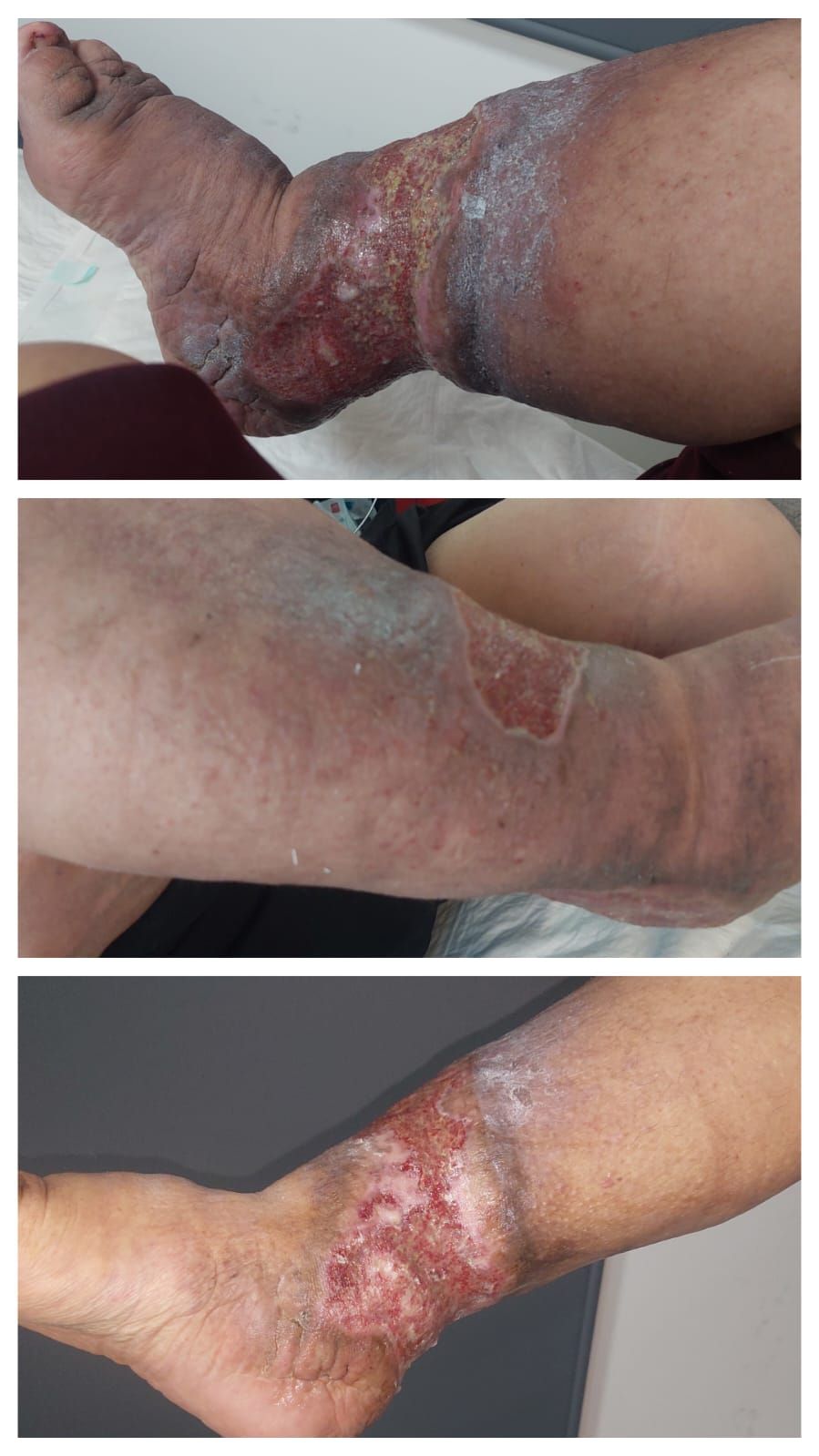 Araceli Judith García Rodríguez-4