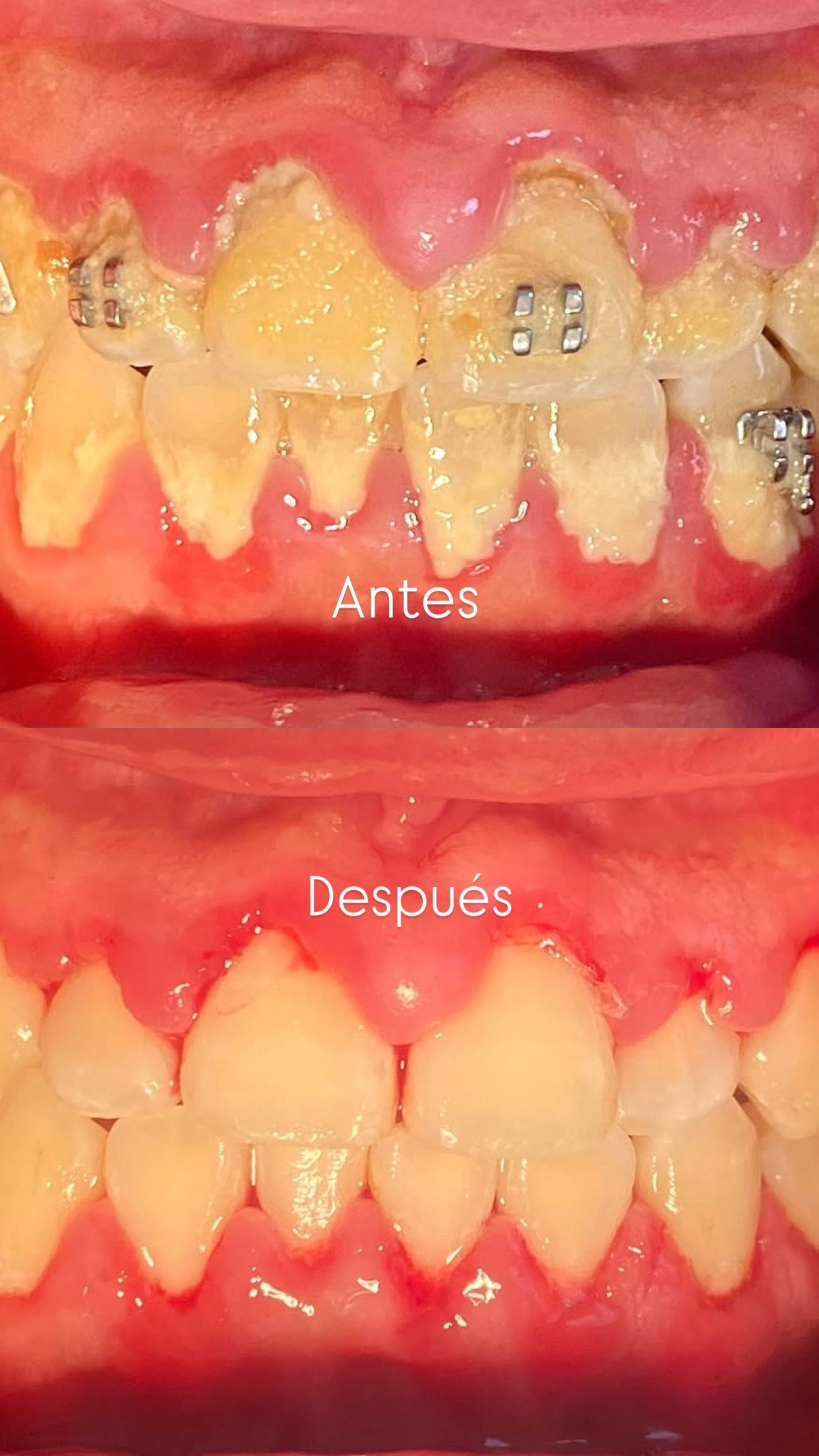 Mónica Mayela  Mercado Godina-0