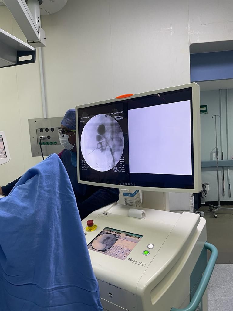 Luis Alberto Gutierrez Martinez-5