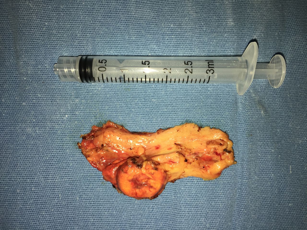 Juan Pablo Santos Uscanga-8