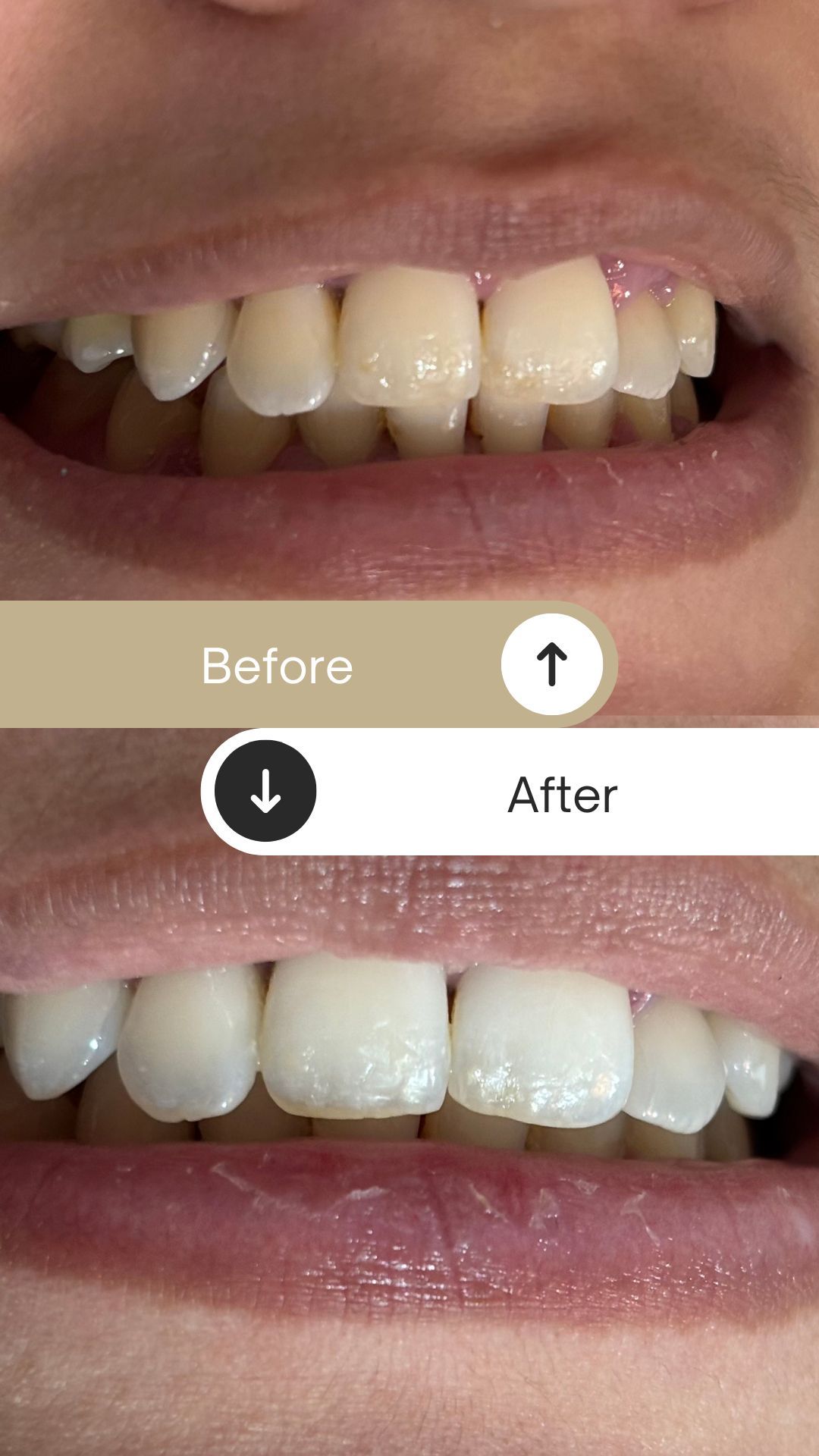 María Guadalupe Moreno Valencia-13